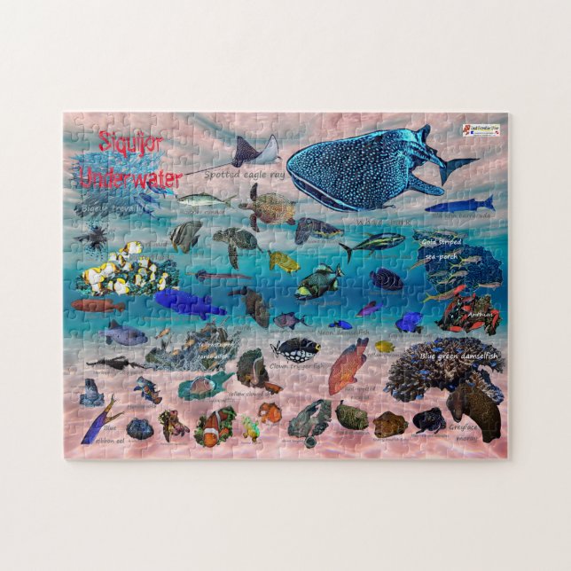 Siquijor Underwater World (Horizontal)