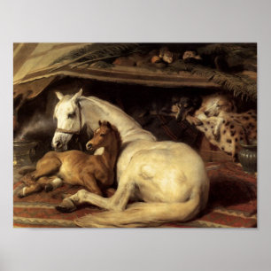 Sir Edwin Henry Landseer   Der arabische Zelt Poster