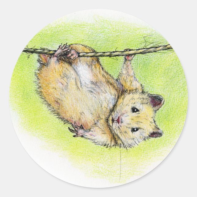 Sir Ham Runder Aufkleber (Vorderseite)