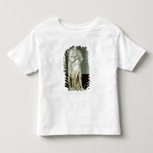 Sir Isaac Newton Kleinkind T-shirt
