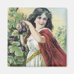 Sirup der Figs Natures Pleasant Laxative Magnet