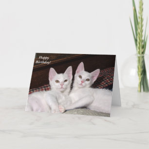Sisterly Love Twins Chat Carte d'anniversaire