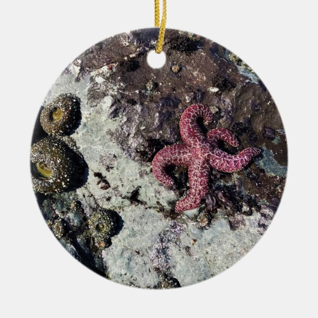 Sisters Rock State Park Oregon Coast Keramik Ornament (Vorne)