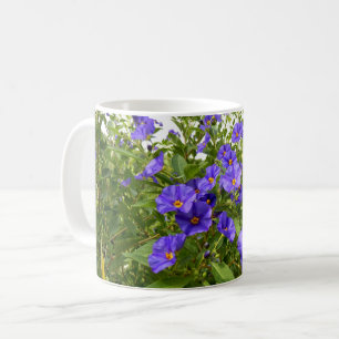 Sisyrinchium Angustifolium Tasse