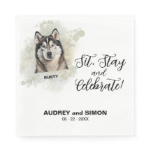 Sit, Bleibe & Celebrate Alasken Malamute Wedding