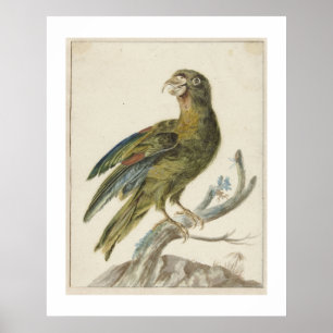 Sittich (1670 - 1719) von Jan Weenix  Poster