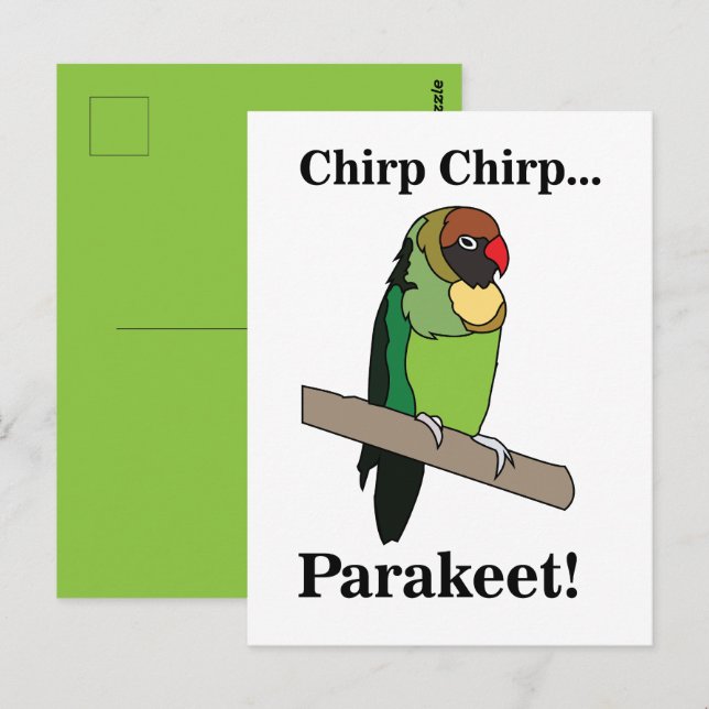 Sittich-Vogel  Postkarte (Vorne/Hinten)