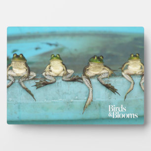 Sitting Frogs Fotoplatte