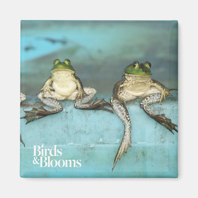 Sitting Frogs Magnet (Vorne)