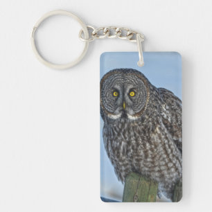 Sitting Great Grey Owl Faune Portrait I