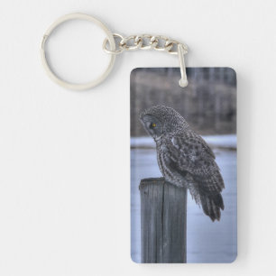 Sitting Great Grey Owl - Poteau de clôture Photo d