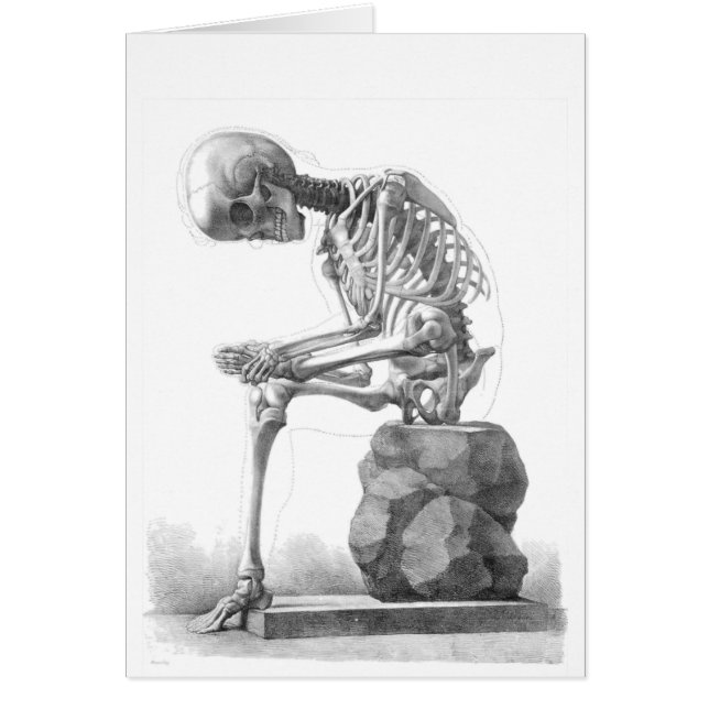 Sitting Skeleton (Devant)