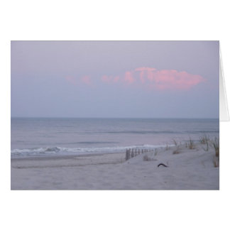 Situé sur les dunes