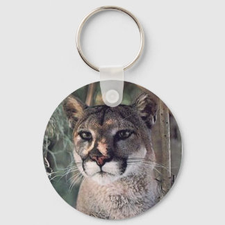Sitzcougar Schlüsselanhänger