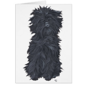 Sitzen Affenpinscher