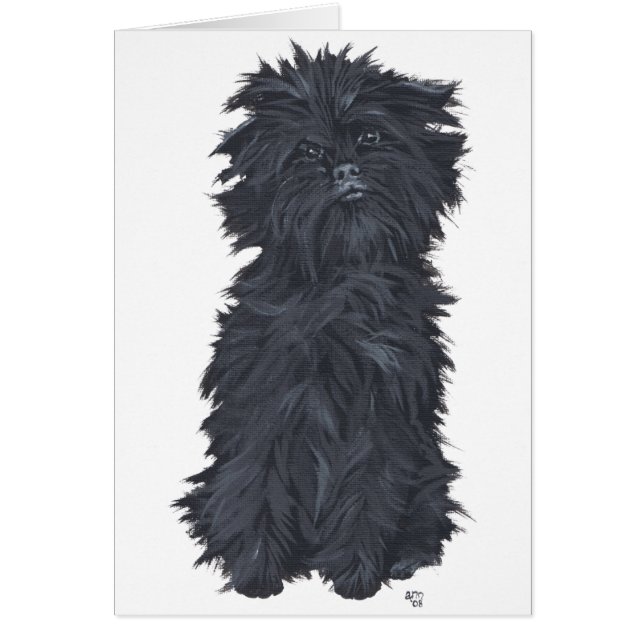Sitzen Affenpinscher (Vorne)