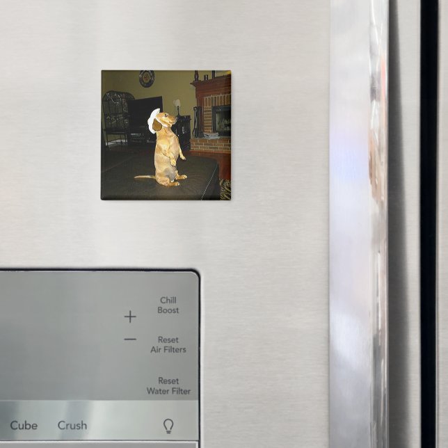 Sitzen Hübsch oder TV-Dackel ansehen Magnet (In Situ (Kühlschrank))