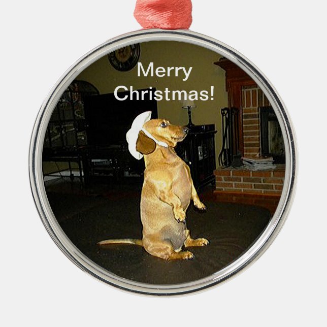 Sitzen Hübsche Dackel Weihnachtsschmuck (Vorne)