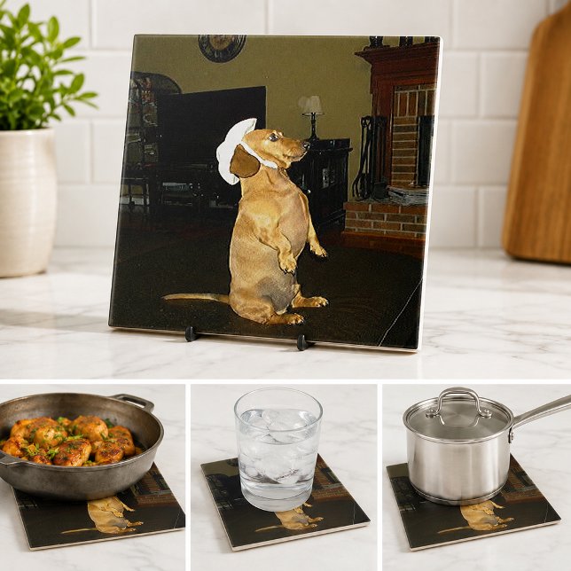 Sitzen Hübscher Dackel Fliese (Funny Dachshund Dog Lover Sitting Pretty Kitchen Ceramic Tile)