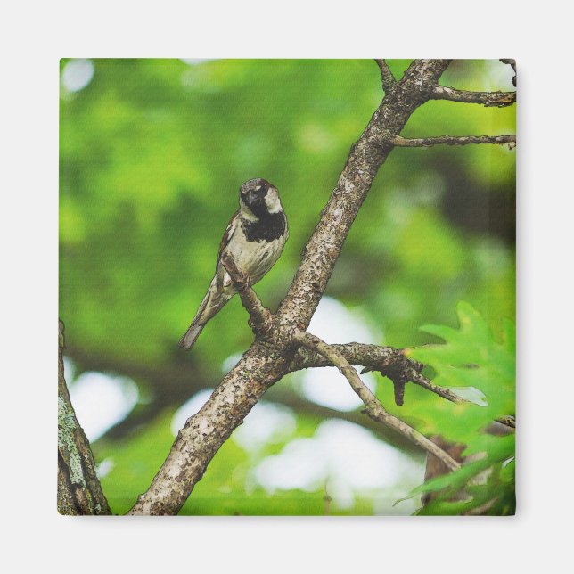 Sitzen Magnet (Vorne)