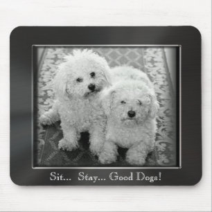 Sitzen Sie. Bleibe Sie. Gute Hunde! Foto-Rahmen Mousepad