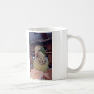 Sitzend hübscher Quäkerpapagei-Becher Kaffeetasse