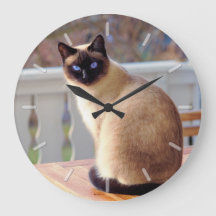 Sitzende blaue mit Augen siamesische Katze Themed