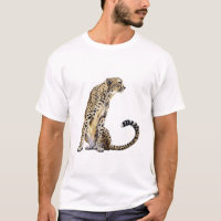 Sitzender Gepard