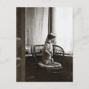 Sitzender Hund am Fenster Vintage-Kunst-Reprodukti Postkarte