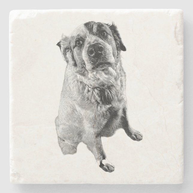 Sitzender Hund Schwarz-Weiß-Kunst Untersetzer (Vorderseite)