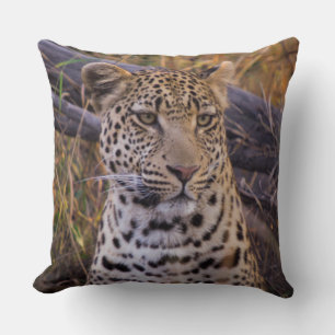 Sitzender Leopard, Botswana, Afrika Kissen