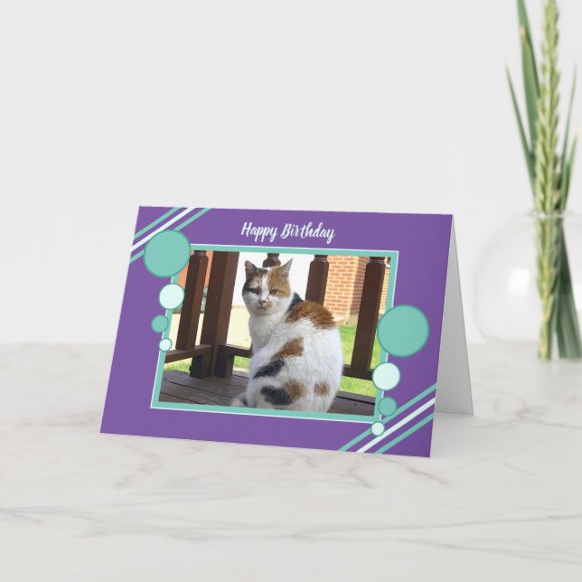 Sitzender lila Türkis des Fotos der Kalikokatze Karte (Vorderseite)