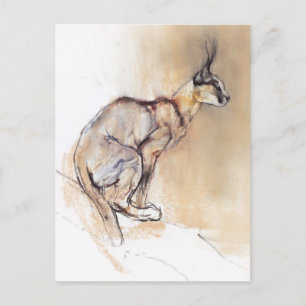 Sitzplatz Caracal 2009 Postkarte