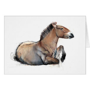 SitzPrzewalski 2011