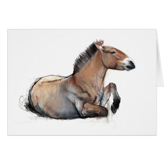 SitzPrzewalski 2011 (Vorderseite (Horizontal))