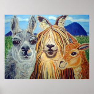 SITZUNGS-LAMAS: LAMA, ALPAKA, VICUNJA!!! POSTER