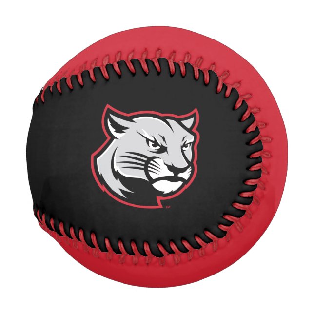 SIUE Cougars Baseball (Vorne Rechts)