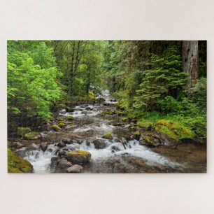 Siuslaw National Forest Sweet Creek