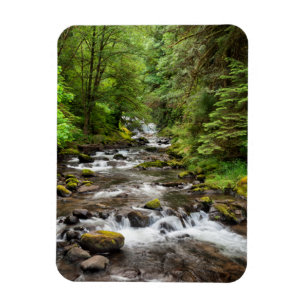 Siuslaw National Forest Sweet Creek Magnet