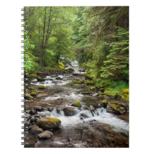 Siuslaw National Forest   Sweet Creek Notizblock