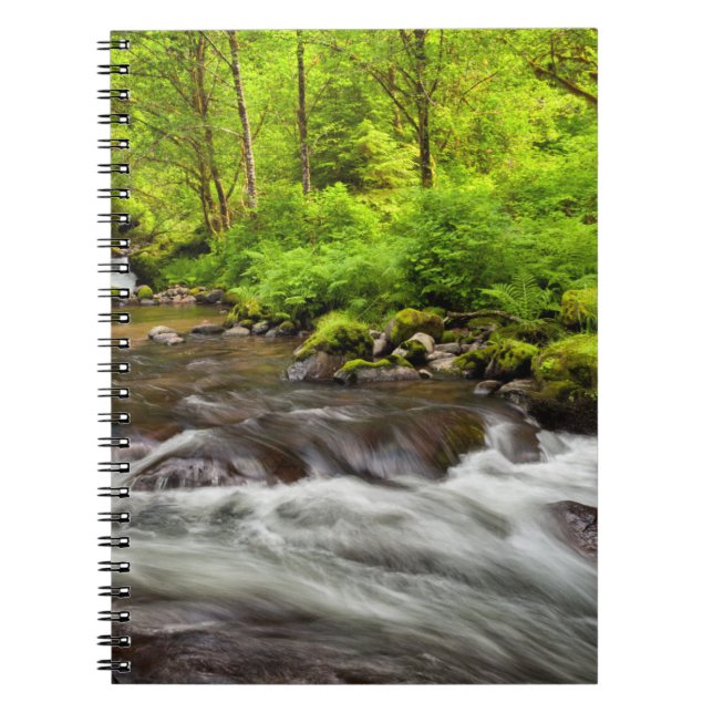 Siuslaw National Forest, Sweet Creek, Oregon Notizblock (Vorderseite)