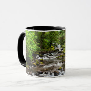 Siuslaw National Forest   Sweet Creek Tasse