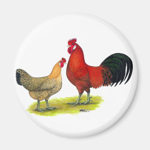 Sizilianische Buttercup Hühner Magnet