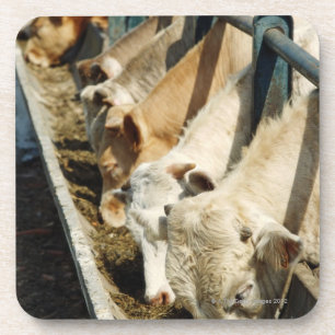 Sizilien, Italien Untersetzer