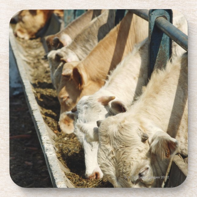 Sizilien, Italien Untersetzer (Vorderseite)