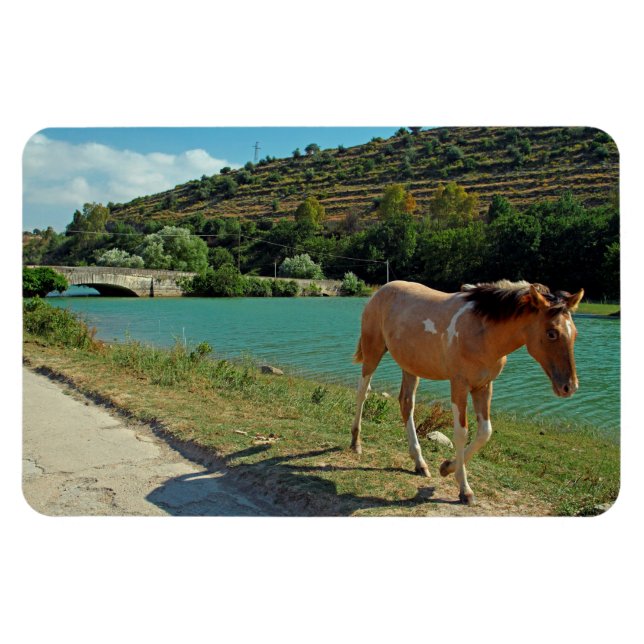 Sizilien Magnet (Horizontal)