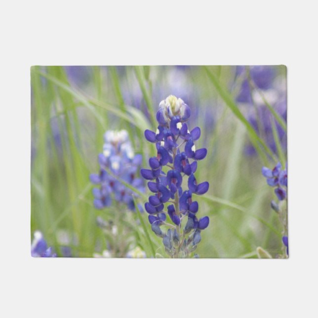 SJefferson Texas Bluebonnets Serie #1 Fußmatte (Vorderseite)