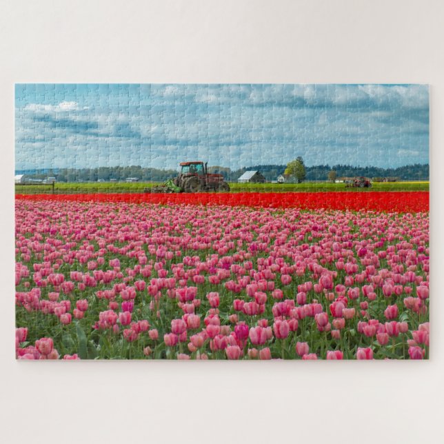 Skagit Valley Tulip Spring (Horizontal)