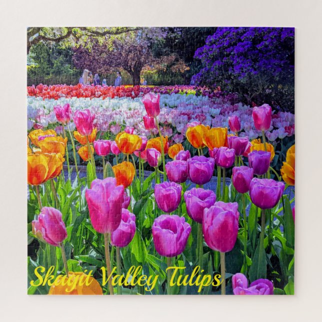 Skagit Valley Tulpen (Vertikal)