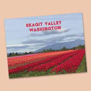 Skagit Valley Washington State Tulpe Postkarte